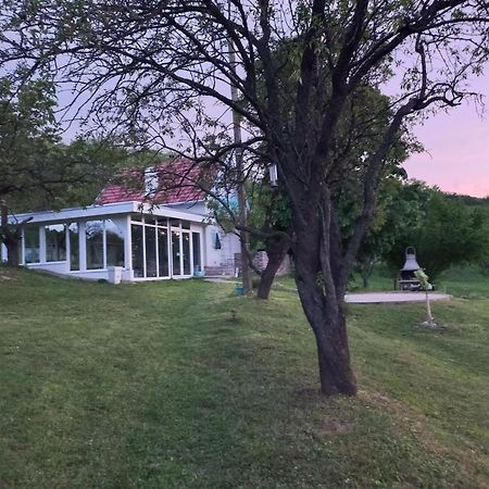 Honey Hill Apartment Fruska Gora Cerevic 외부 사진