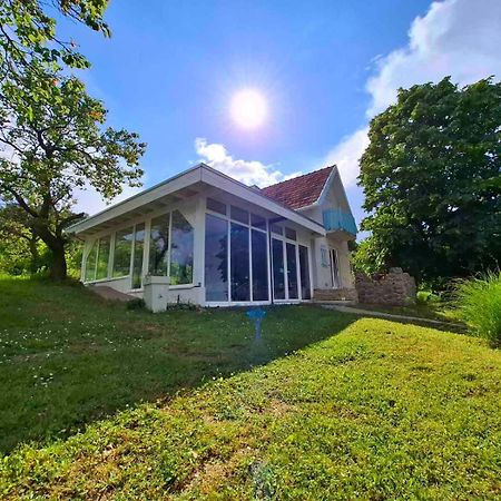 Honey Hill Apartment Fruska Gora Cerevic 외부 사진