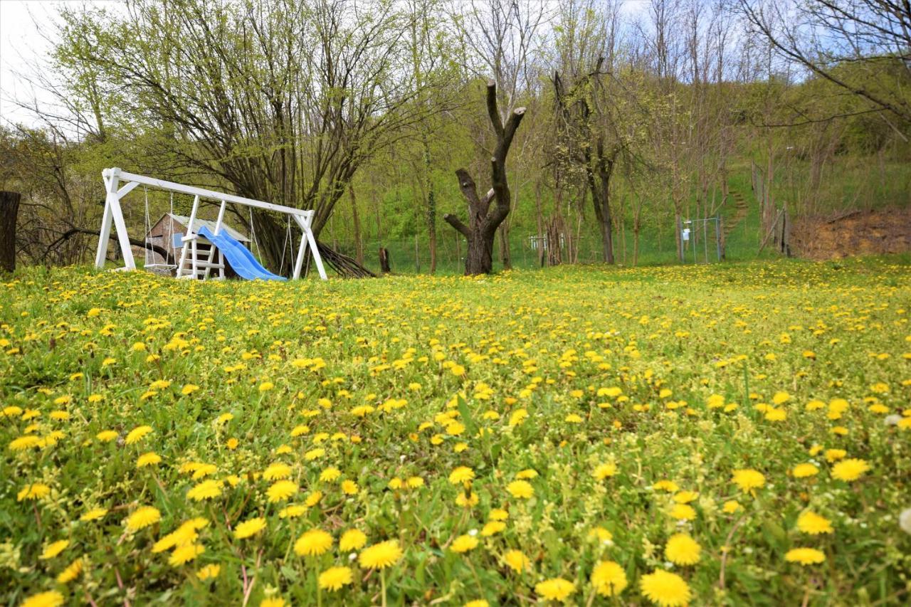 Honey Hill Apartment Fruska Gora Cerevic 외부 사진