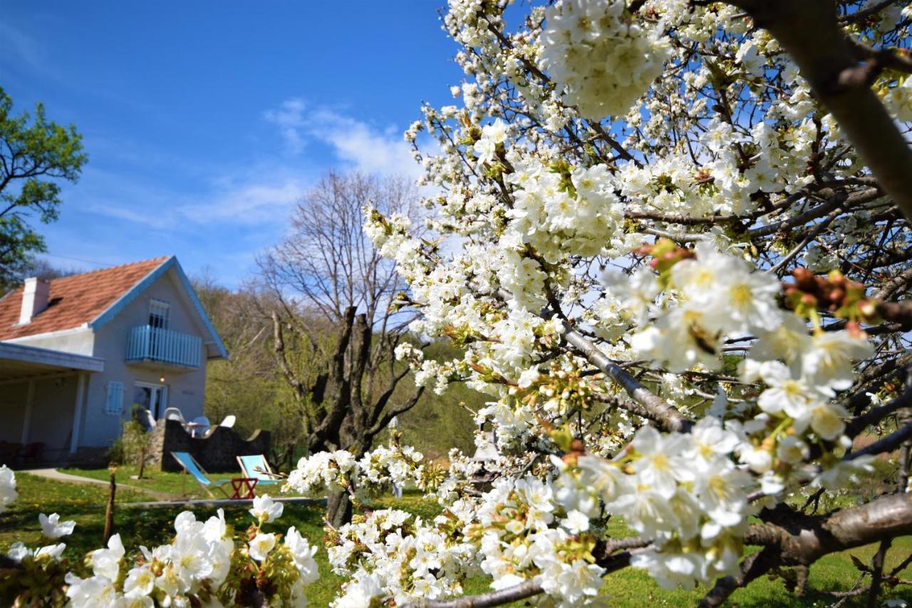 Honey Hill Apartment Fruska Gora Cerevic 외부 사진