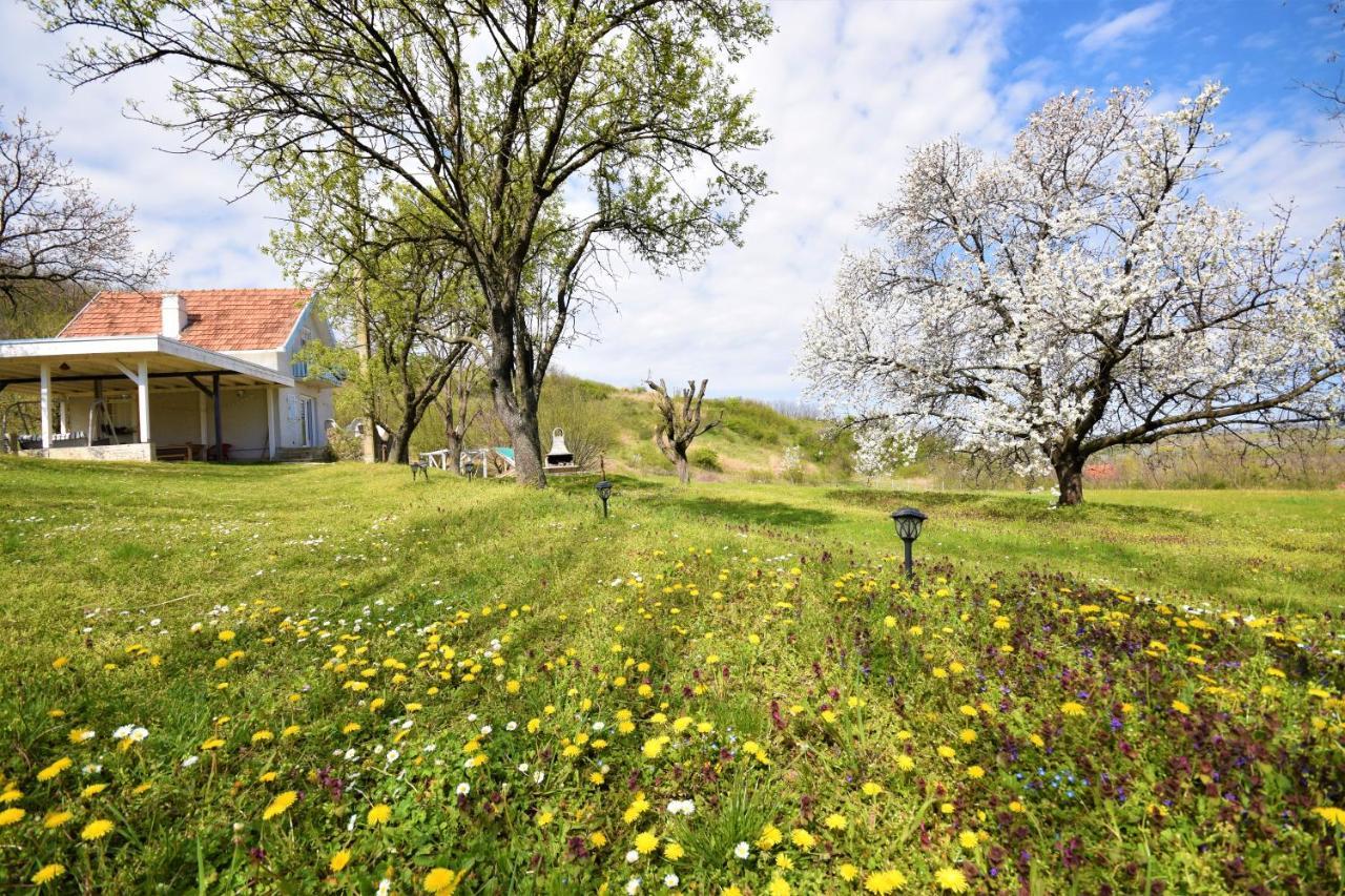 Honey Hill Apartment Fruska Gora Cerevic 외부 사진