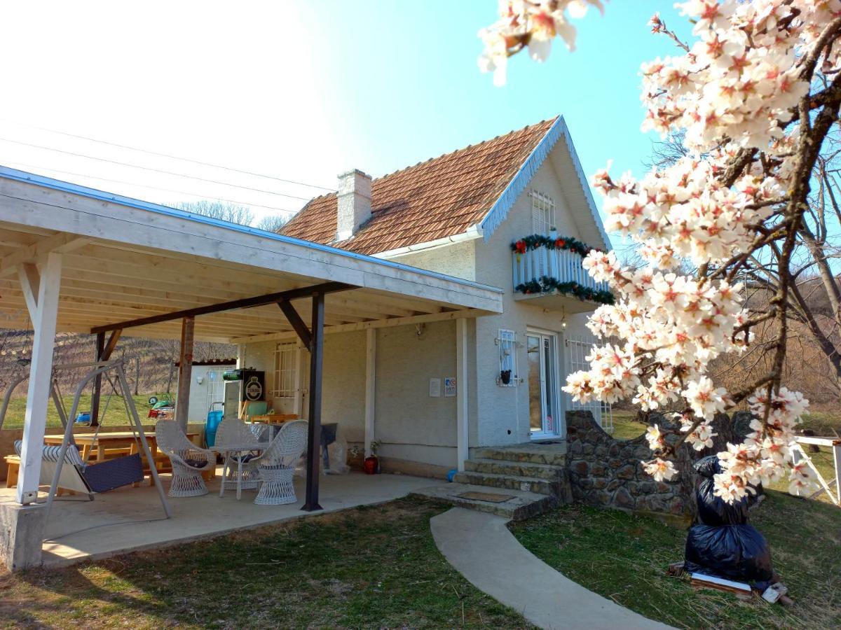 Honey Hill Apartment Fruska Gora Cerevic 외부 사진
