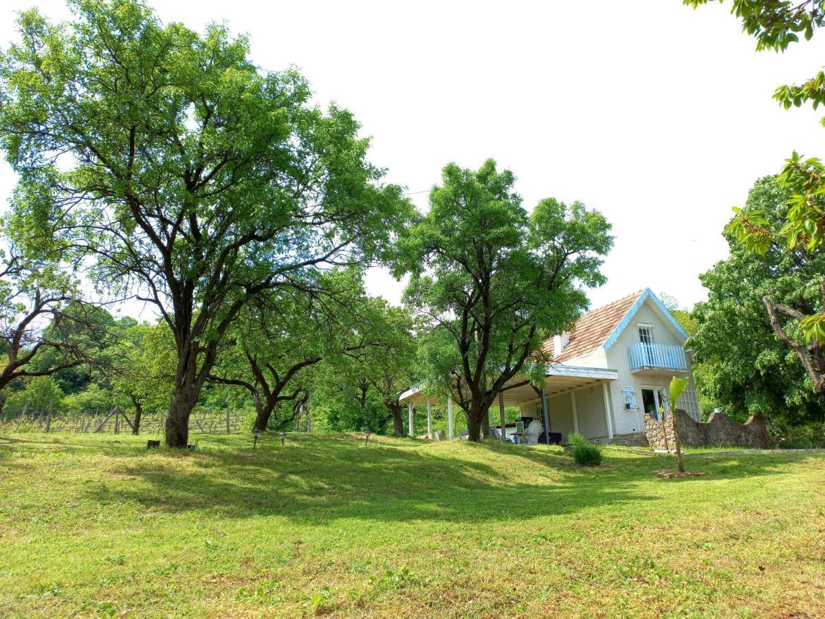 Honey Hill Apartment Fruska Gora Cerevic 외부 사진