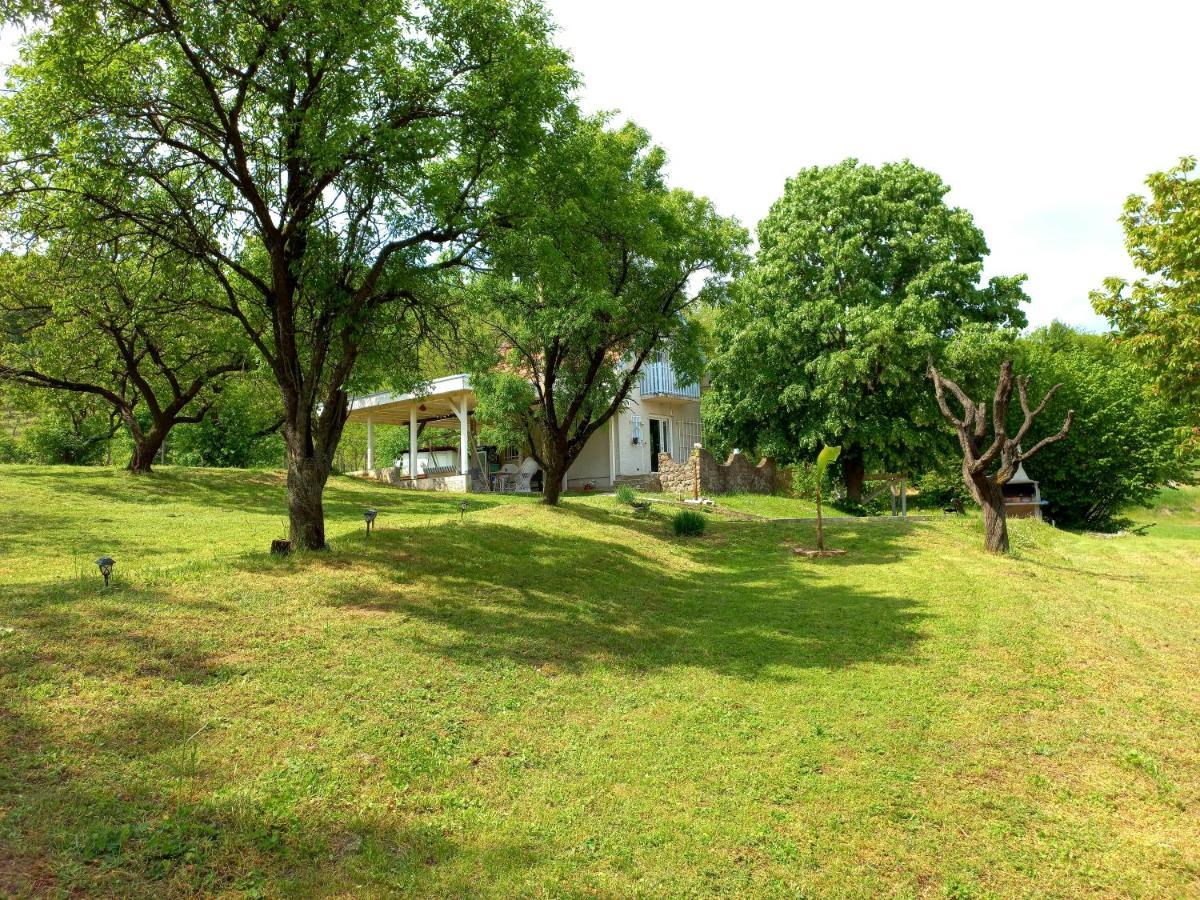 Honey Hill Apartment Fruska Gora Cerevic 외부 사진
