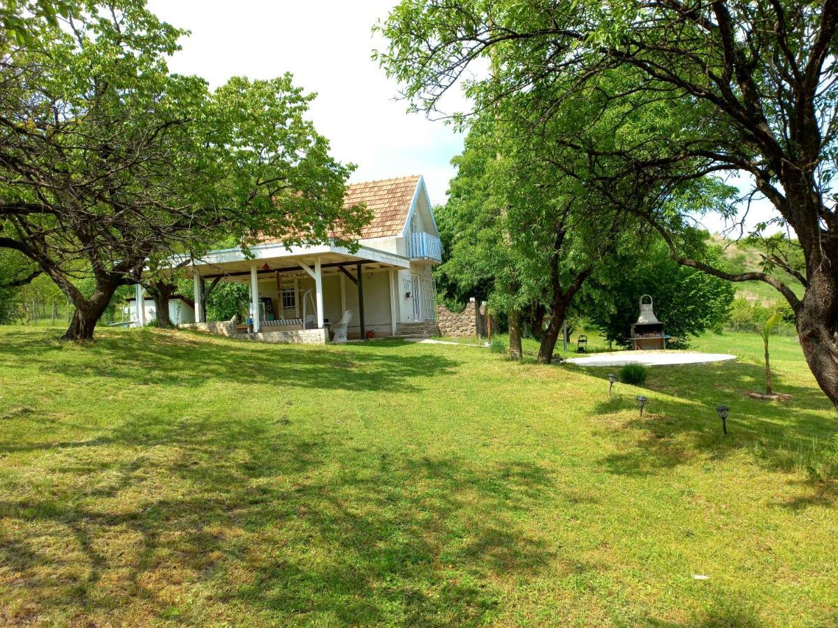 Honey Hill Apartment Fruska Gora Cerevic 외부 사진