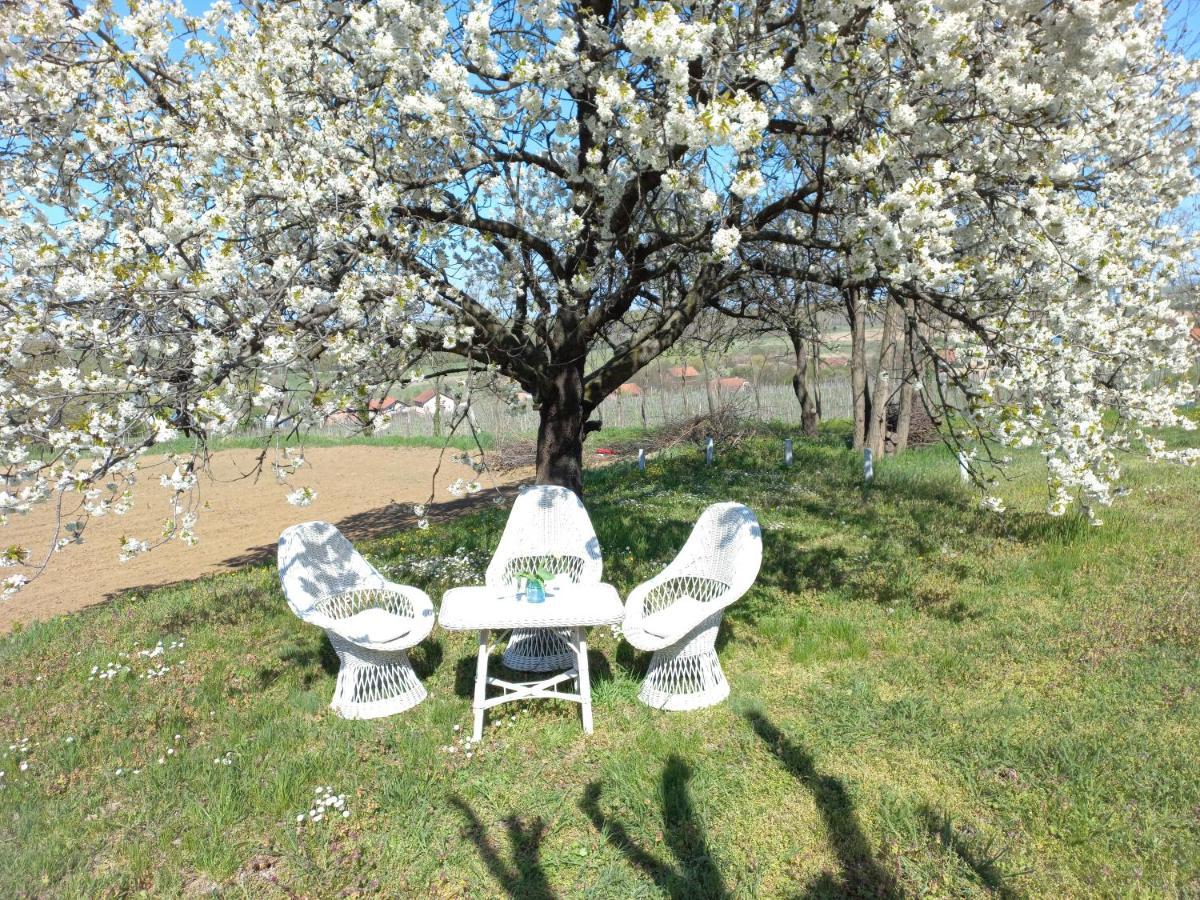 Honey Hill Apartment Fruska Gora Cerevic 외부 사진