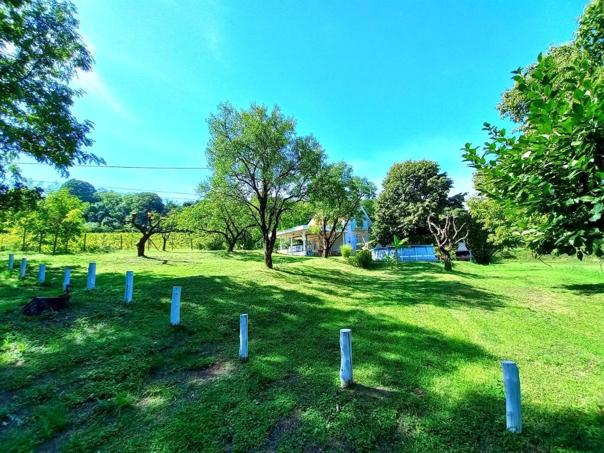 Honey Hill Apartment Fruska Gora Cerevic 외부 사진