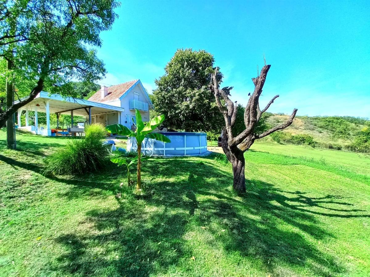 Honey Hill Apartment Fruska Gora Cerevic 외부 사진