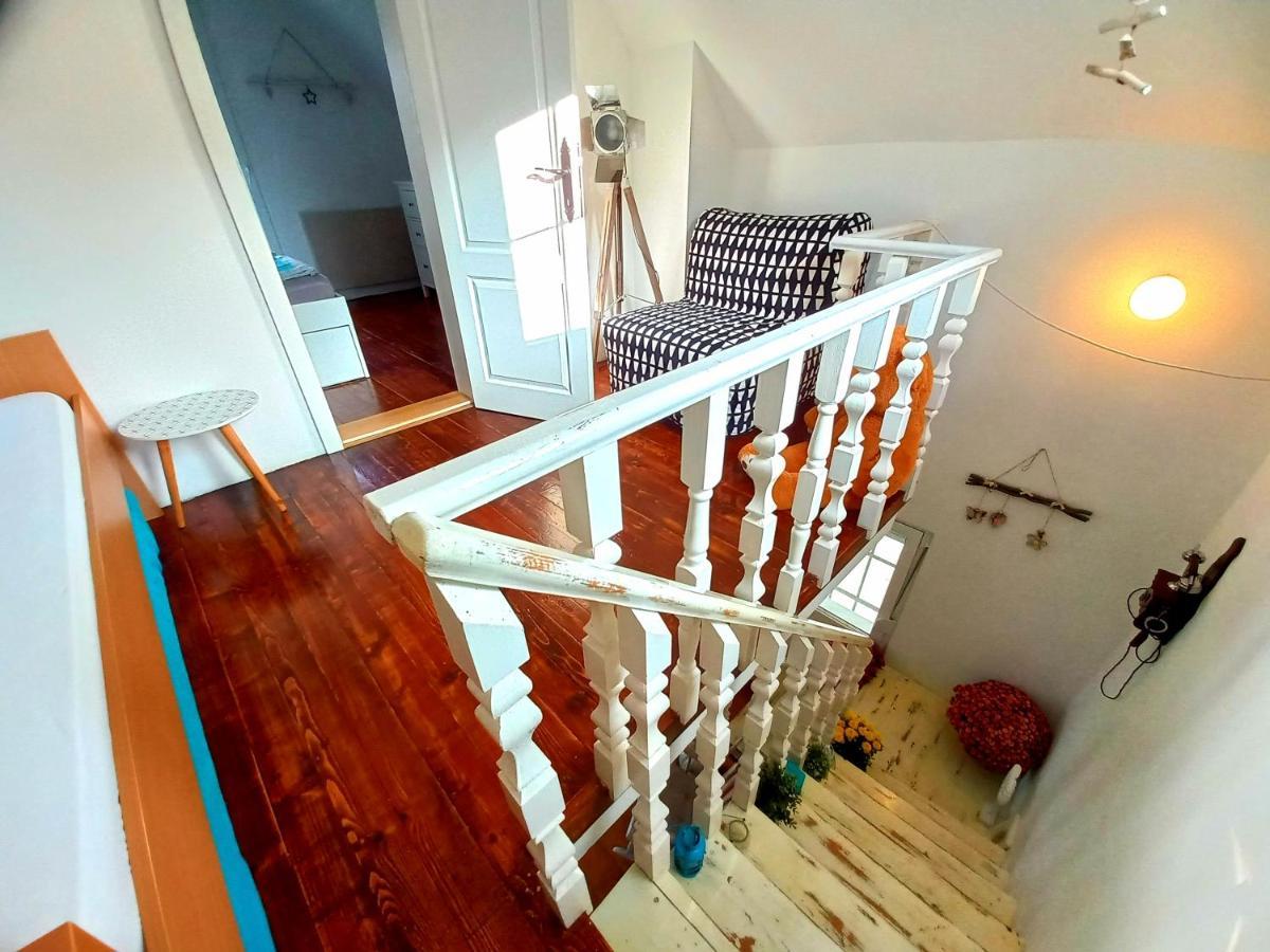 Honey Hill Apartment Fruska Gora Cerevic 외부 사진