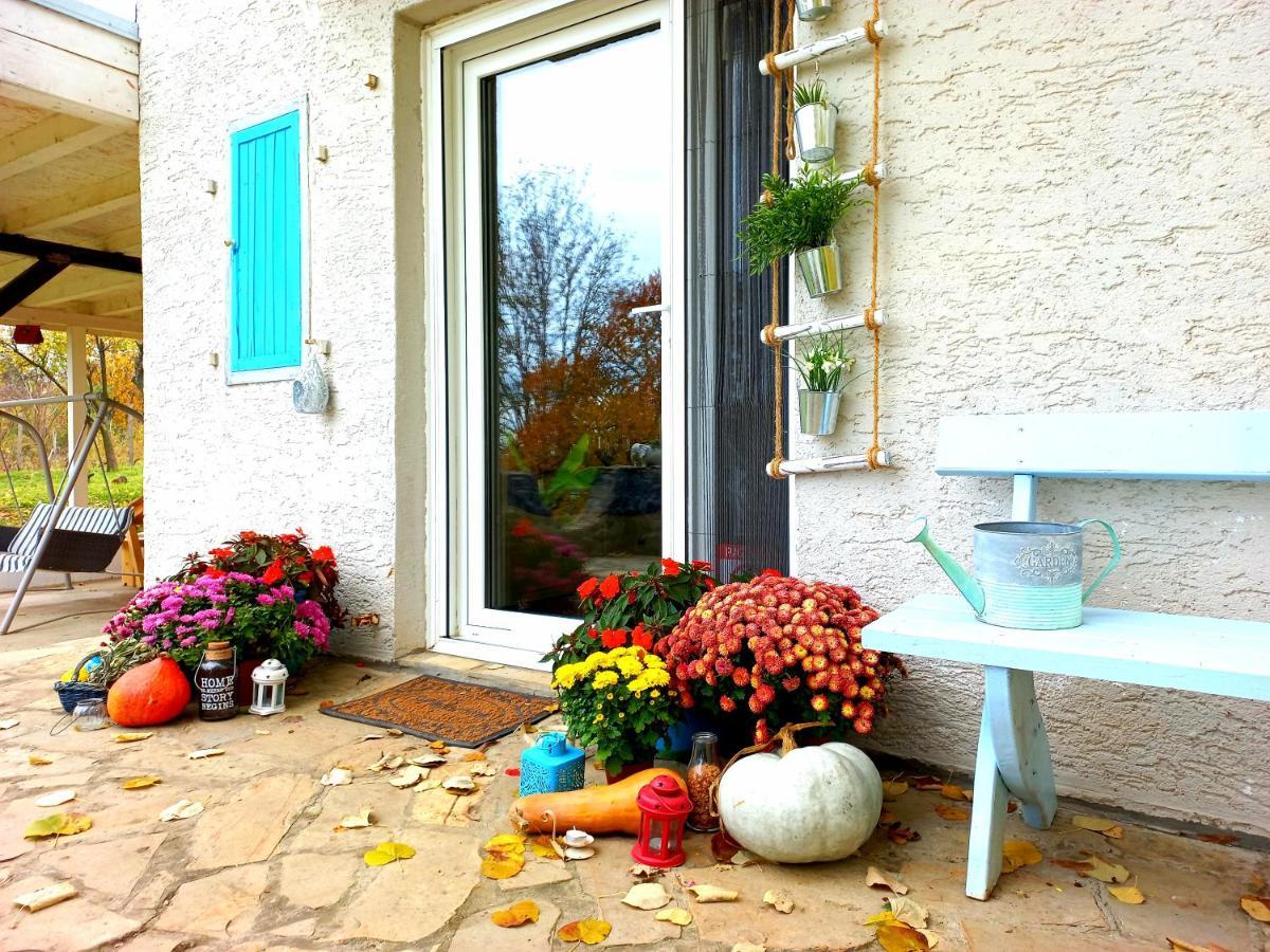 Honey Hill Apartment Fruska Gora Cerevic 외부 사진