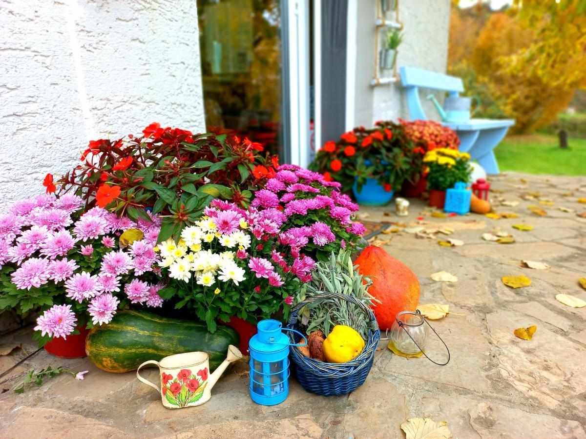 Honey Hill Apartment Fruska Gora Cerevic 외부 사진