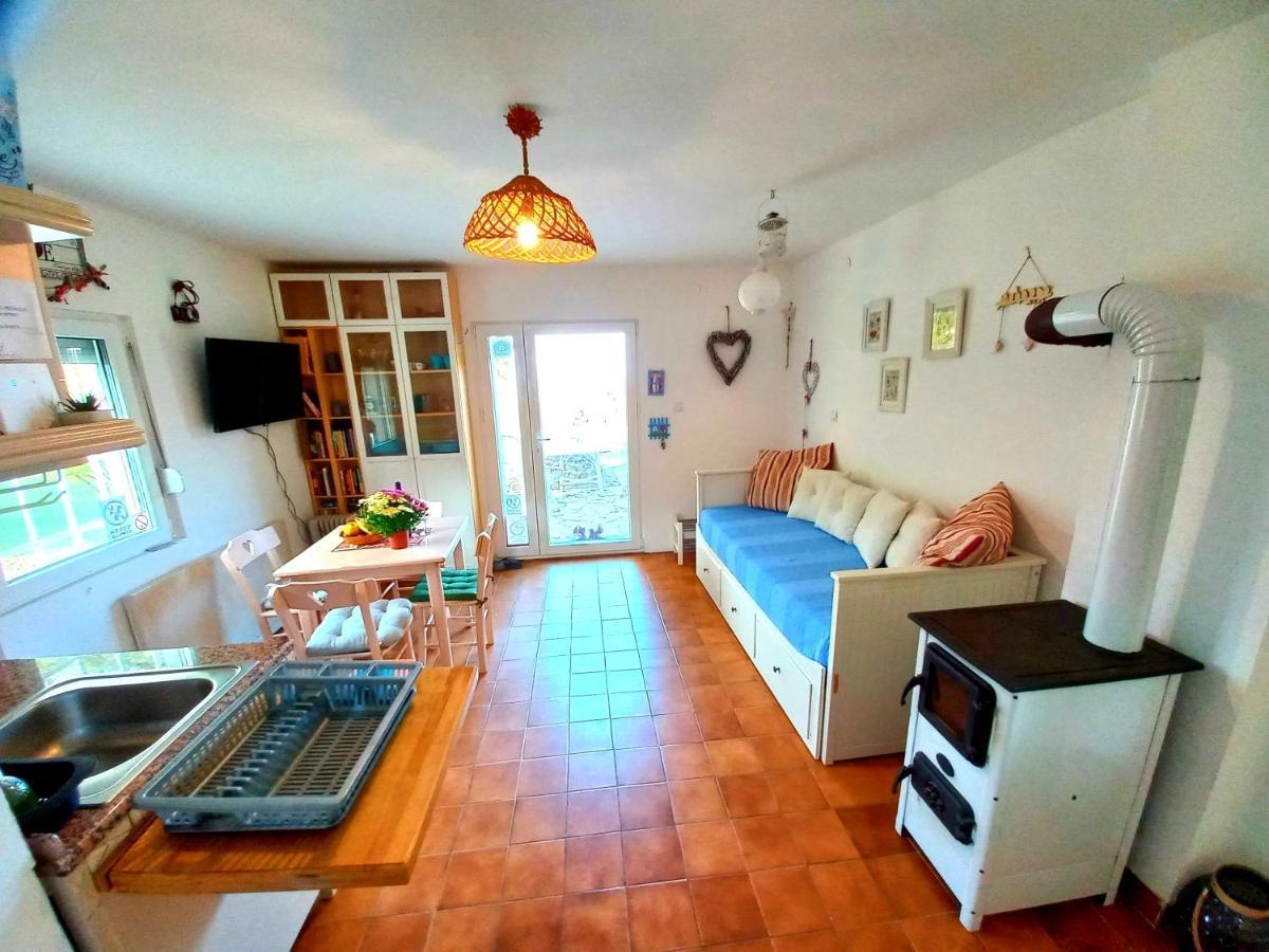 Honey Hill Apartment Fruska Gora Cerevic 외부 사진